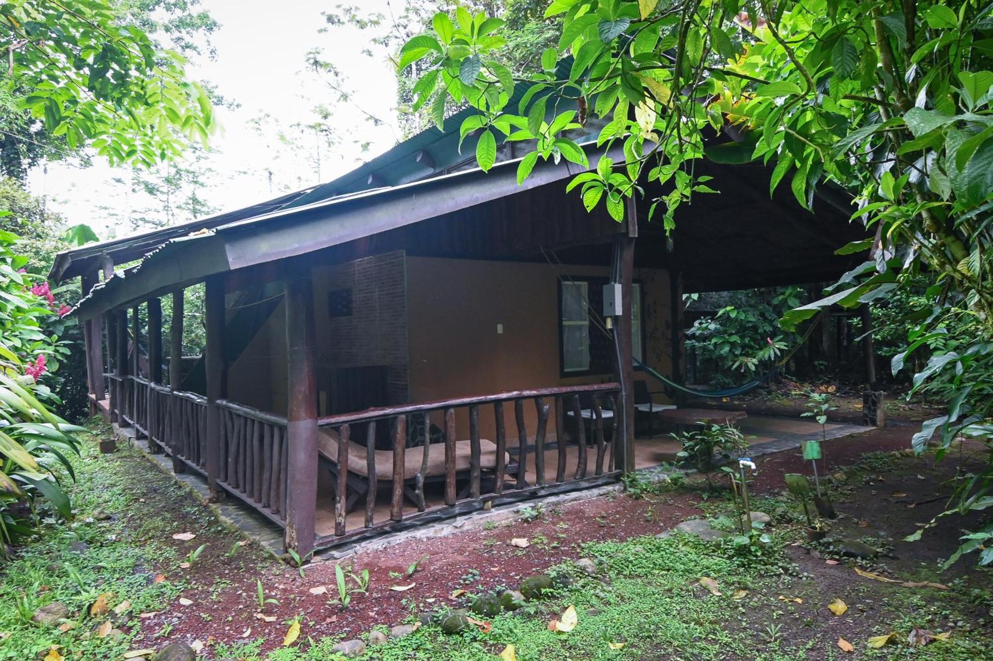 Chilamate Rainforest Eco Retreat Puerto Viejo de Sarapiqui Buitenkant foto
