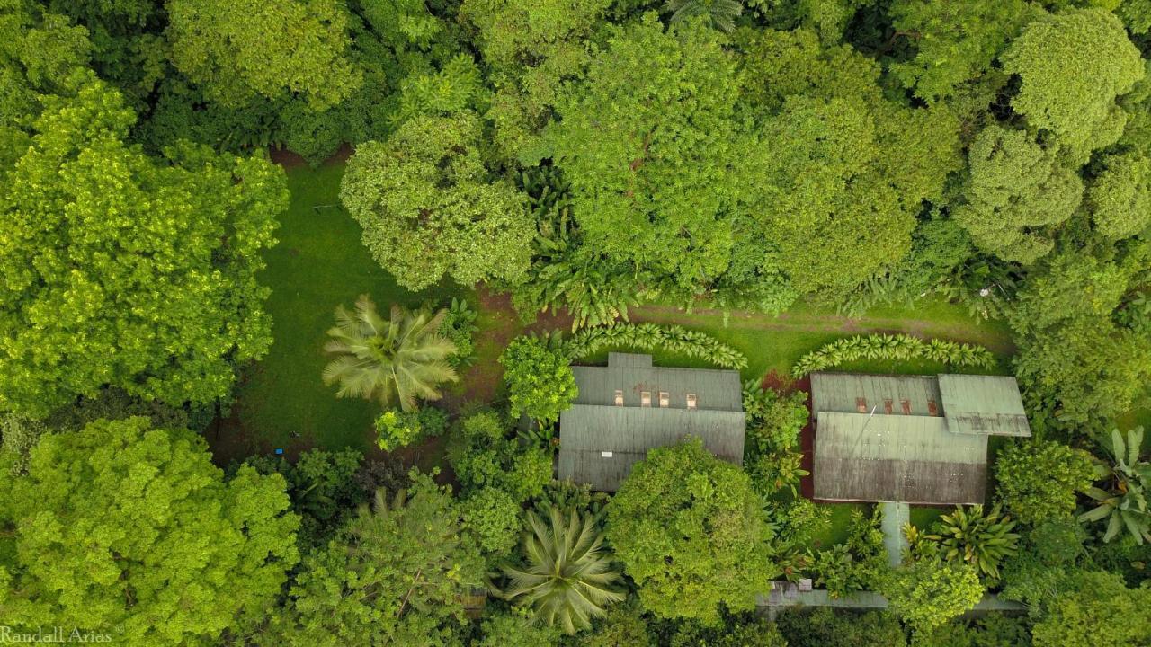 Chilamate Rainforest Eco Retreat Puerto Viejo de Sarapiqui Buitenkant foto
